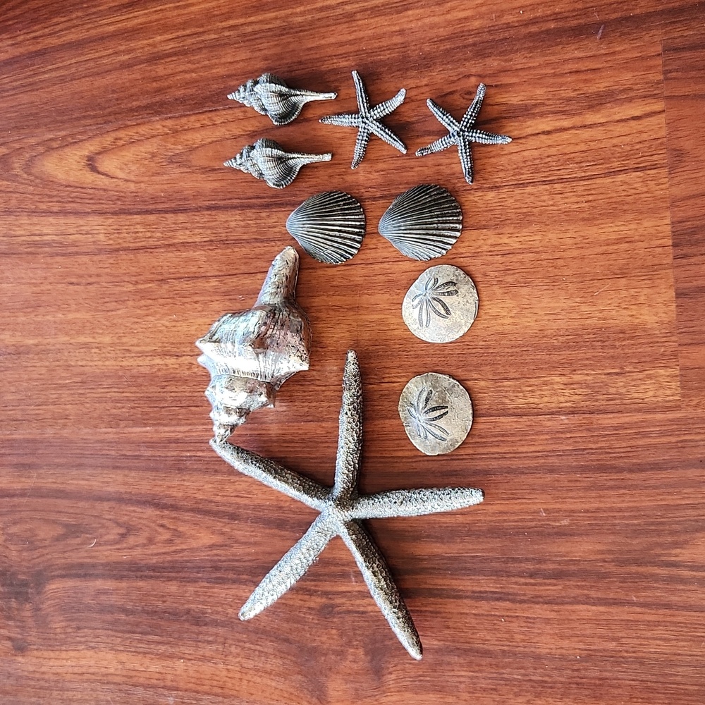 (10) Decorative Shells + Starfishes